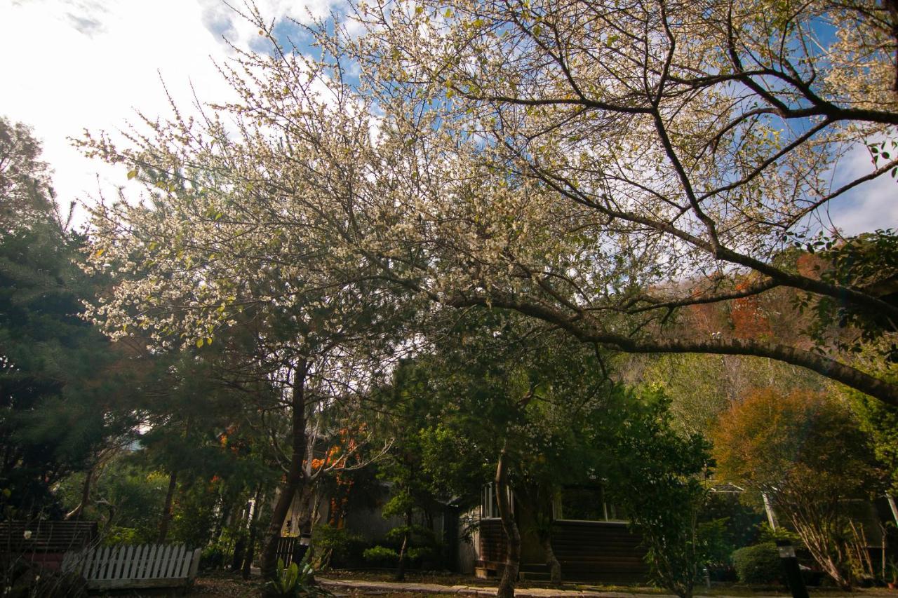 Tomi House Apartman Hengsan Kültér fotó