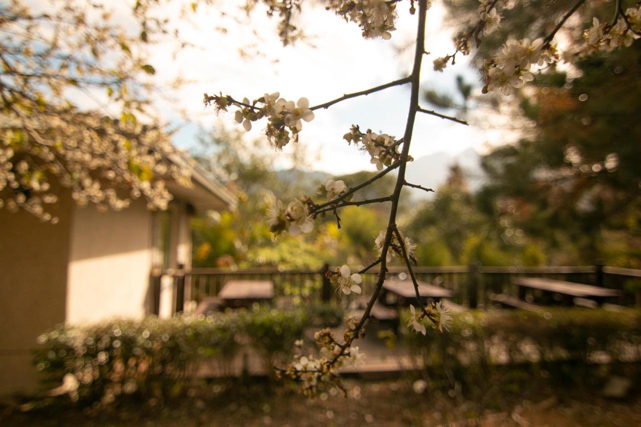 Tomi House Apartman Hengsan Kültér fotó